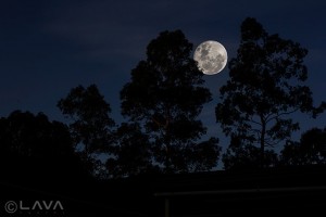 Full moon November 2016